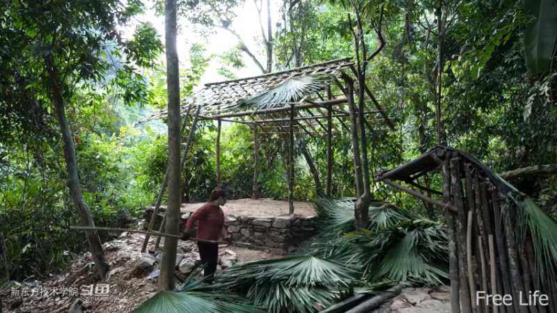 更新1季02小姐姐宅基地17妹子独自深入荒野隐居修仙,建设世外桃源投个币吧