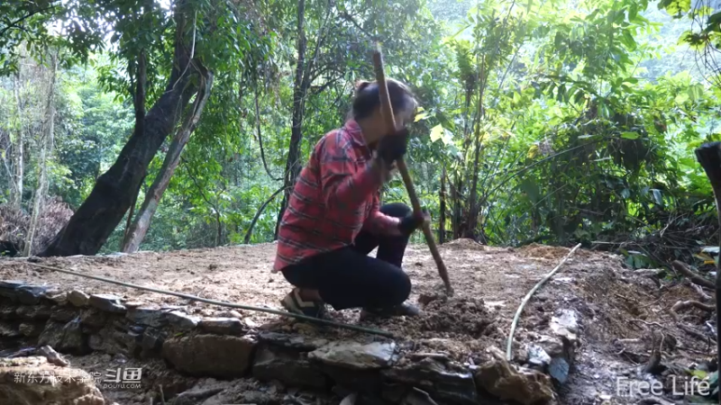 更新1季02小姐姐宅基地7妹子独自深入荒野隐居修仙,建设世外桃源投个币吧