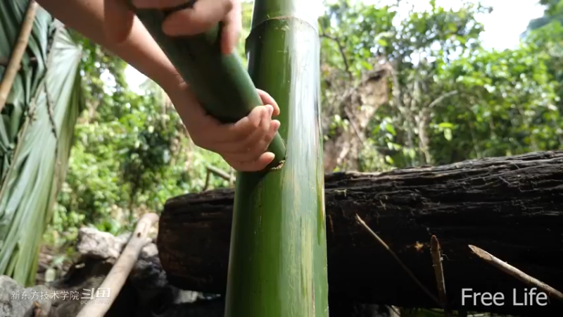 更新1季01荒野淋雨房18妹子独自深入荒野隐居修仙,建设世外桃源投个币吧