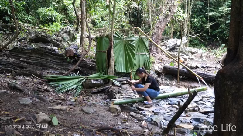 更新1季01荒野淋雨房16妹子独自深入荒野隐居修仙,建设世外桃源投个币吧