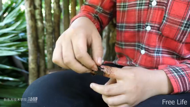 更新1季02小姐姐宅基地16妹子独自深入荒野隐居修仙,建设世外桃源投个币吧