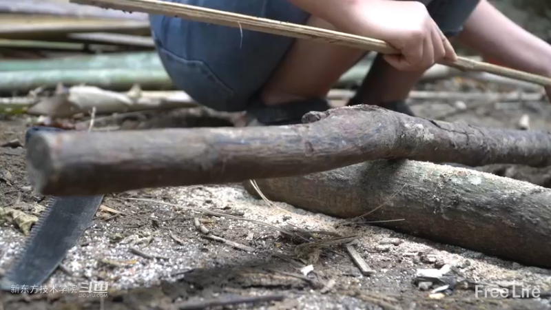 更新1季05制作置物架&淋yu7妹子独自深入荒野隐居修仙,建设世外桃源投个币吧