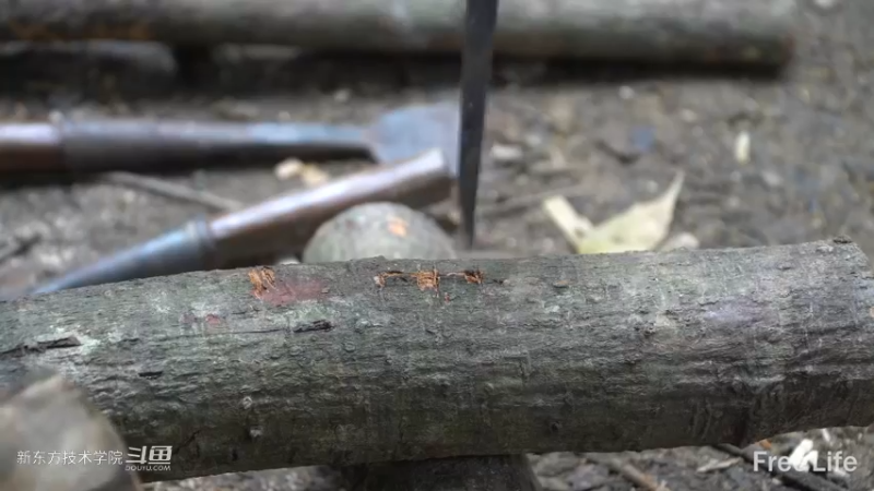 更新1季05制作置物架&淋yu8妹子独自深入荒野隐居修仙,建设世外桃源投个币吧