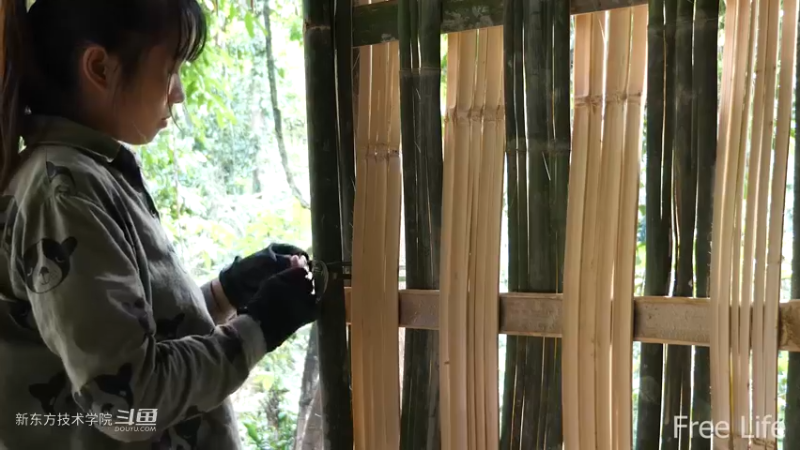 更新1季03农村石板地制作15妹子独自深入荒野隐居修仙,建设世外桃源投个币吧