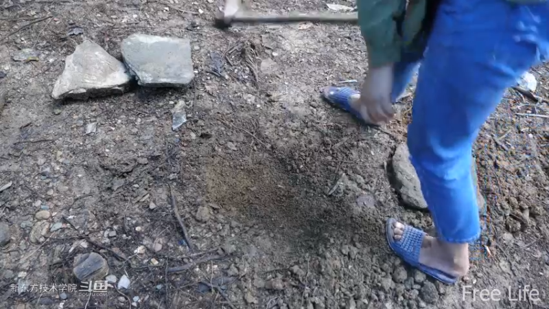 更新1季03农村石板地制作4妹子独自深入荒野隐居修仙,建设世外桃源投个币吧