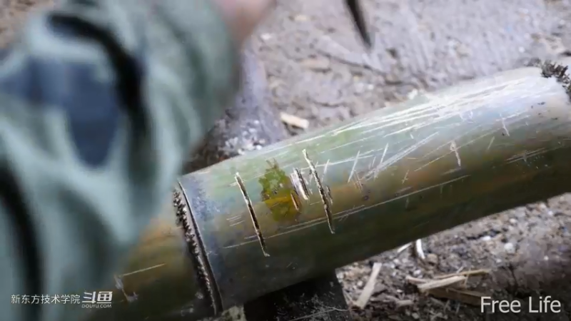 更新1季03农村石板地制作9妹子独自深入荒野隐居修仙,建设世外桃源投个币吧