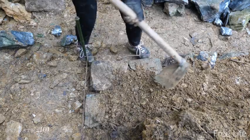 更新1季02小姐姐宅基地2妹子独自深入荒野隐居修仙,建设世外桃源投个币吧