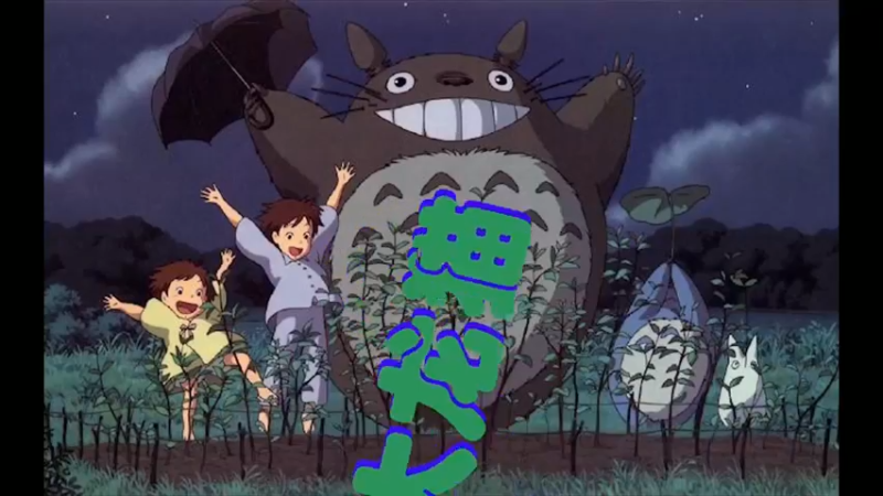 猫哥，看看朴指导眼神！