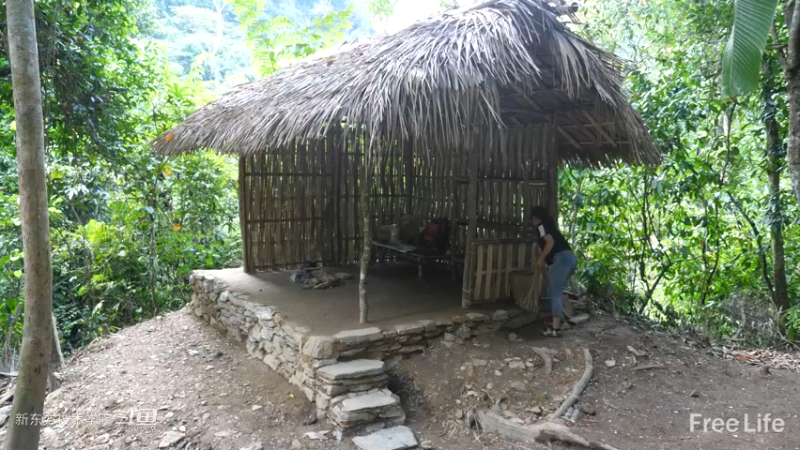 更新1季05制作置物架&淋yu16妹子独自深入荒野隐居修仙,建设世外桃源投个币吧