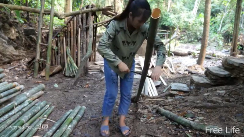 更新1季03农村石板地制作11妹子独自深入荒野隐居修仙,建设世外桃源投个币吧