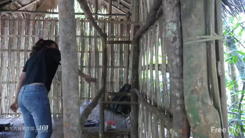 更新1季05制作置物架&淋yu13妹子独自深入荒野隐居修仙,建设世外桃源投个币吧