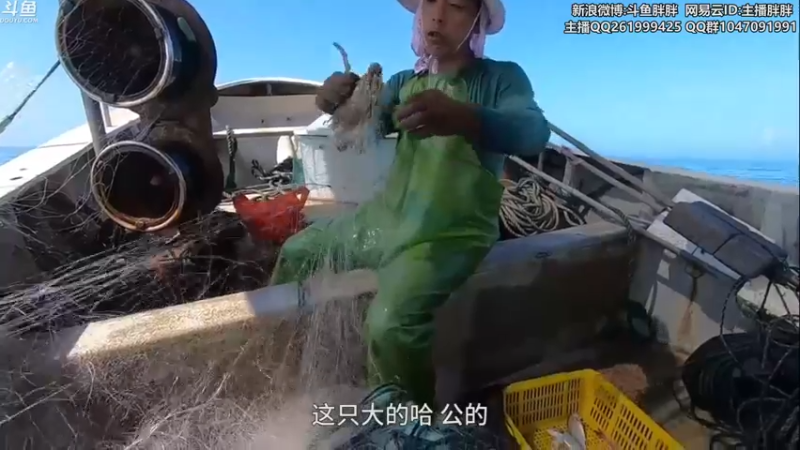 【2021-08-28 03点场】胖胖灬：胖胖OB：FPX\RNG\ 开始排位！