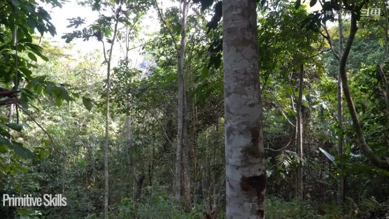 全集更新精剪版(2)E122门前泳池【真人我的世界-空手发展-单人炼铁】