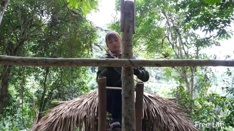 更新1季11新建厨房14妹子深入荒野隐居修仙,建设世外桃源投个币吧