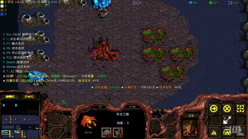 【2021-08-28 02点场】星际DSA联赛：天使風暴™️ 專業版