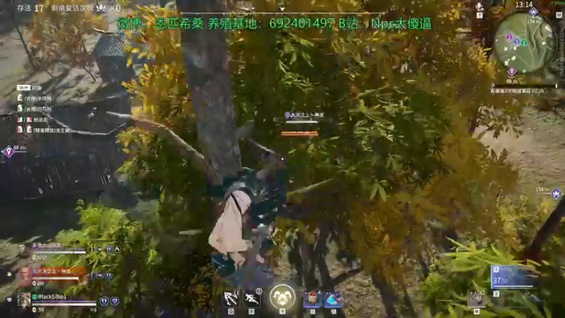 【2021-08-28 01点场】Npccccccccccccc：金色传说的直播间