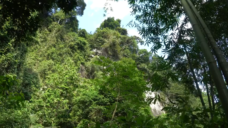 全集更新精剪版(1)E123综合动力系统 终于准备发电了吗【真人我的世界-空手发展-单人炼铁】