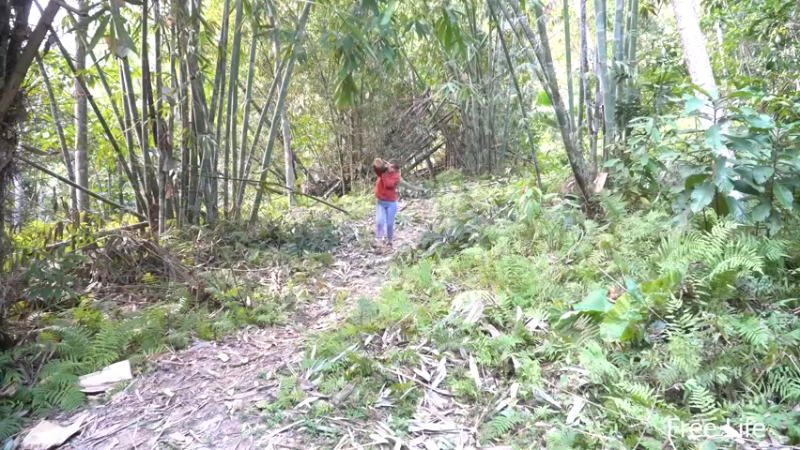更新1季11新建厨房9妹子深入荒野隐居修仙,建设世外桃源投个币吧