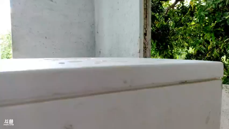 【2021-08-28 11点场】海道丶：今晚海底直播