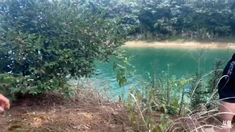 【2021-08-28 13点场】魅力生活i：今天弄土蜂