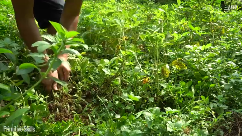 全集更新精剪版(2)E103耕耘收获,满仓过冬！？【真人我的世界-空手发展-单人炼铁】