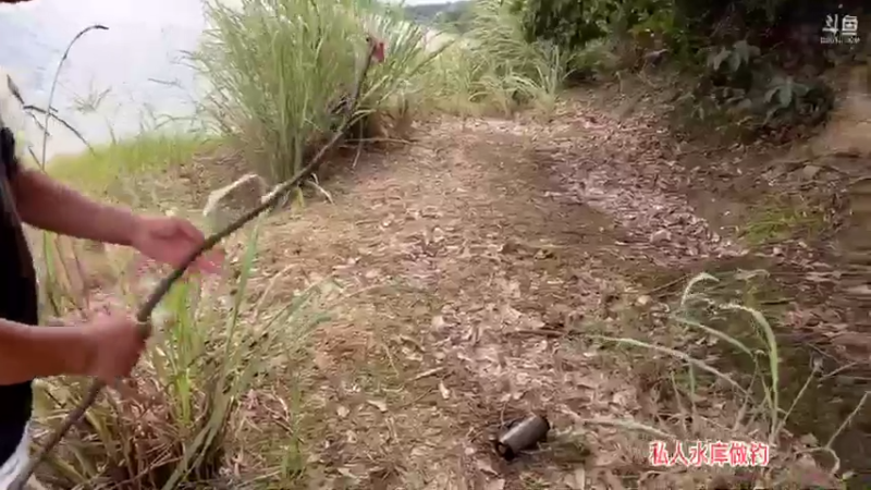 【2021-08-28 15点场】魅力生活i：今天弄土蜂