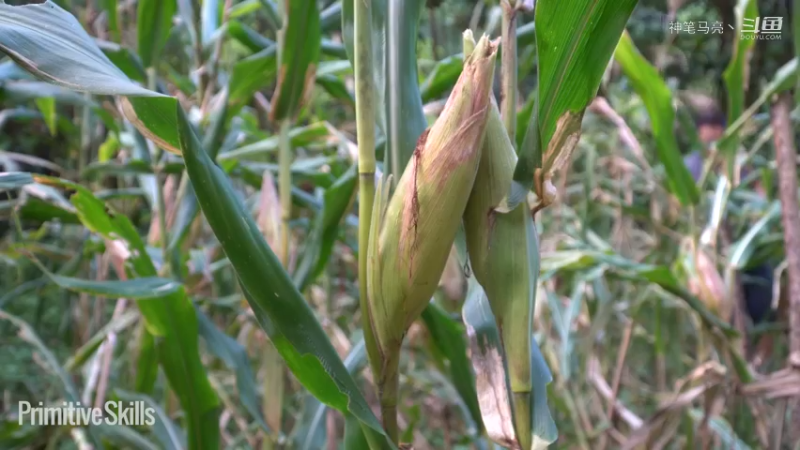 第三季 热乎更新精剪版(13)E124不知道衣服演得是啥？全程看衣服【真人我的世界-空手发展-单人炼铁】