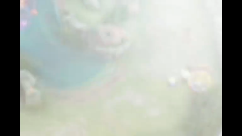 雅典娜跟Vn突然好配