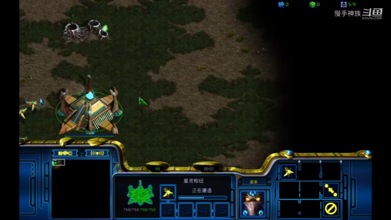 斗魂pvz优势后一根筋的换虫族建筑2021-08-28