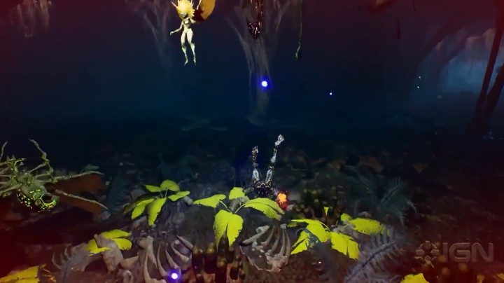 【2021科隆展】《Arboria》预告