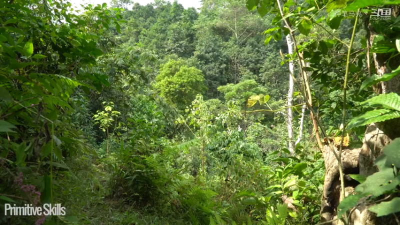 全集更新精剪版(1)E116棉花和种植【真人我的世界-空手发展-单人炼铁】