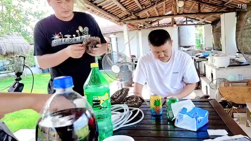 【2021-08-28 15点场】洪湖小肖：打年度兄弟们冲