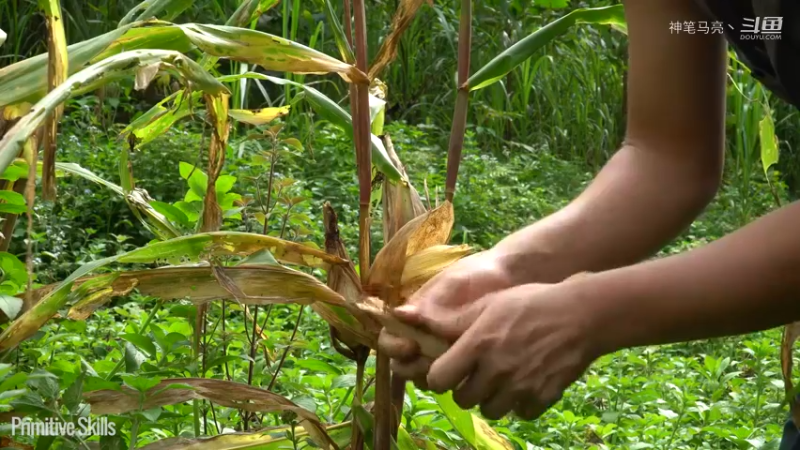 全集更新精剪版(5)E103耕耘收获,满仓过冬！？【真人我的世界-空手发展-单人炼铁】