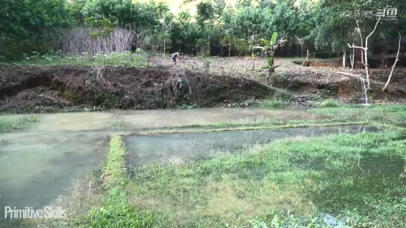 全集更新精剪版(10)E116棉花和种植【真人我的世界-空手发展-单人炼铁】