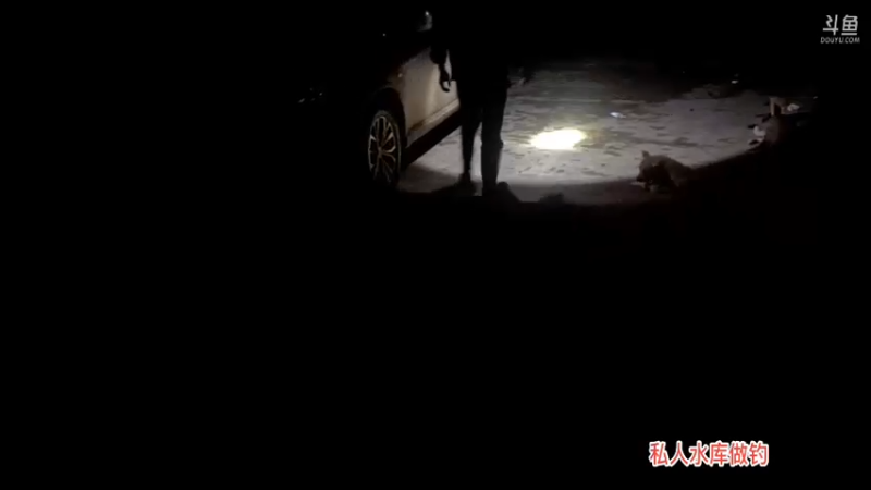 【2021-08-27 23点场】魅力生活i：晚上波哥的主场来了