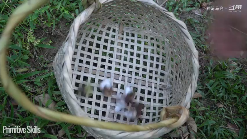 全集更新精剪版(2)E116棉花和种植【真人我的世界-空手发展-单人炼铁】