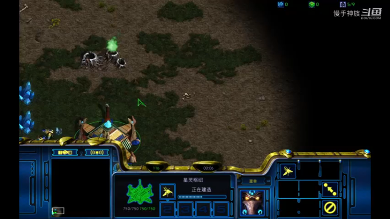 pvz天梯地图2021-08-28