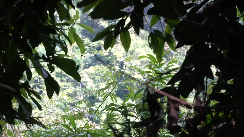 热乎更新(1)E126有车有房有船@池塘竹筏【真人我的世界-空手发展-单人炼铁】