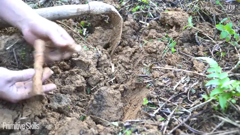 全集更新精剪版(12)E116棉花和种植【真人我的世界-空手发展-单人炼铁】