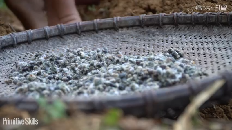 全集更新精剪版(14)E116棉花和种植【真人我的世界-空手发展-单人炼铁】