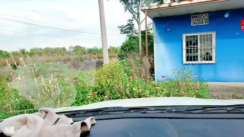 【2021-08-29 16点场】洪湖小肖：洪湖小肖的直播间