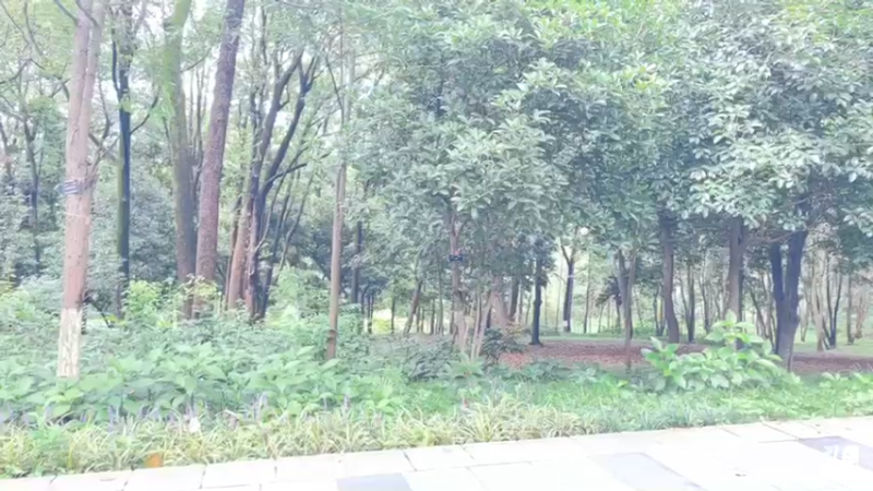 【2021-08-29 15点场】哈尼九：美女在户外双倍亲密度已经开启了哦