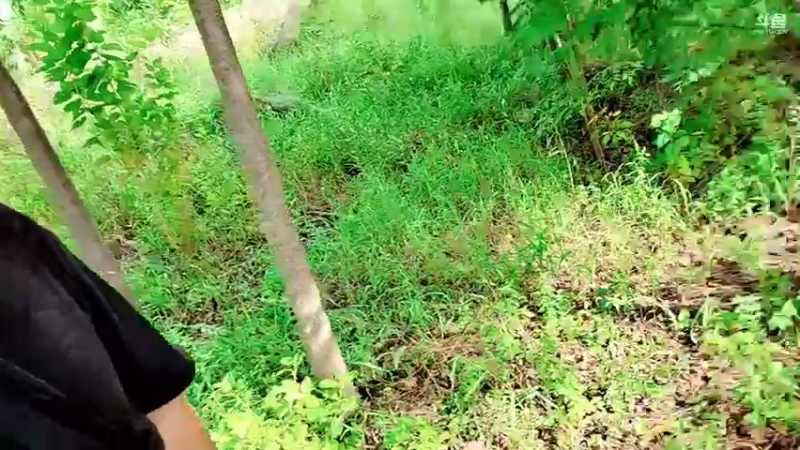 【2021-08-29 15点场】洪湖小肖：洪湖小肖的直播间