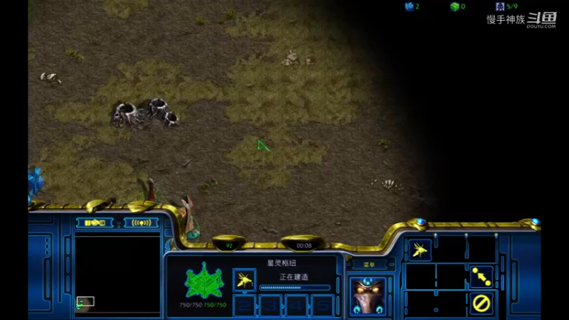 天梯pvp拼甲虫2021-08-29