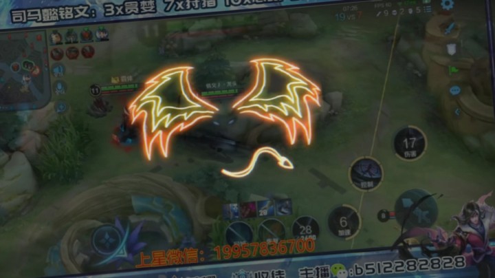 蓝羽日常带粉4