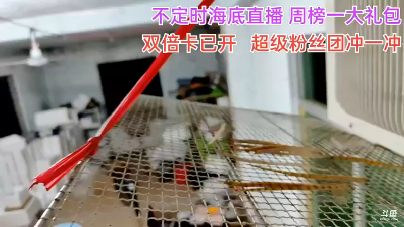 【2021-08-29 21点场】海道丶：超级粉丝团冲一冲