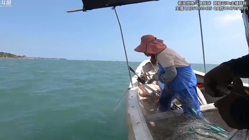 【2021-08-29 03点场】胖胖灬：胖胖OB：FPX\RNG\ 开始排位！