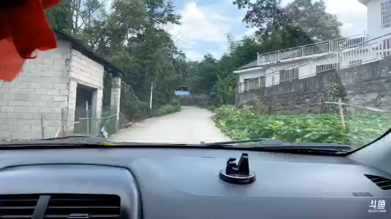 【2021-08-29 11点场】魅力生活i：今天找土蜂枞菌