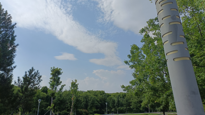 圣光能赢，天使必备