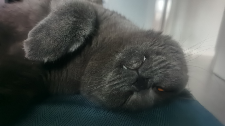 直播回看